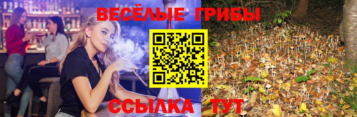 Псилоцибиновые грибы Psilocybe  Вход с VPN  Псилоцибиновые грибы Cubensis  Янаул 